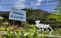 <b>这张“消息高速”</b> 